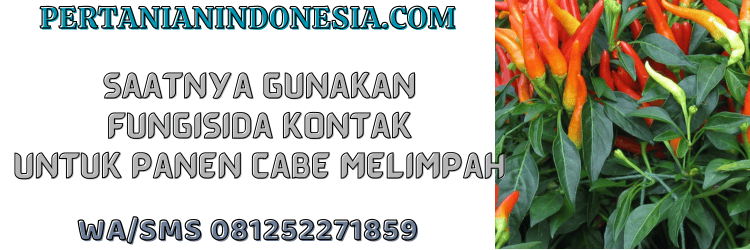 jual,murah,terjangkau,toko pertanian terdekat,pertanian indonesia